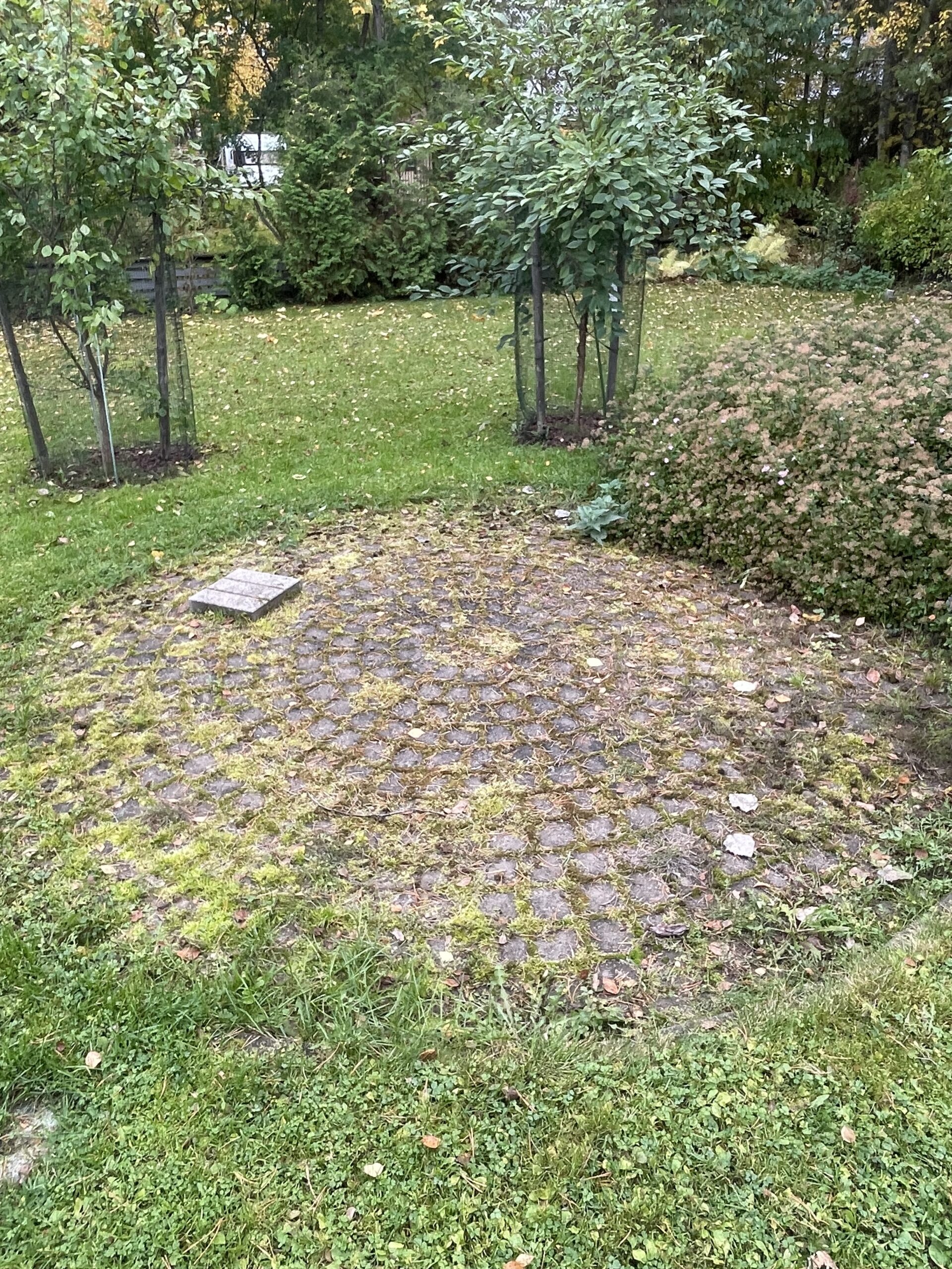 ennen